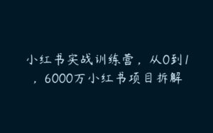 小红书实战训练营，从0到1，6000万小红书项目拆解-51自学联盟