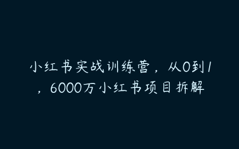 小红书实战训练营，从0到1，6000万小红书项目拆解百度网盘下载