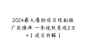 2024最火爆的项目短剧推广实操课 一条视频变现5万+【项目拆解】-51自学联盟