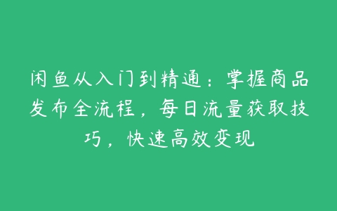 闲鱼从入门到精通：掌握商品发布全流程，每日流量获取技巧，快速高效变现百度网盘下载