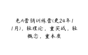 老A营销训练营(更24年11月)，轻理论，重实战，轻概念，重本质-51自学联盟