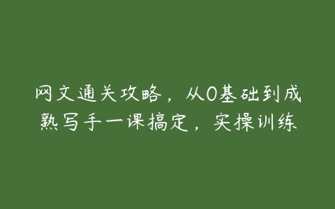 网文通关攻略，从0基础到成熟写手一课搞定，实操训练百度网盘下载