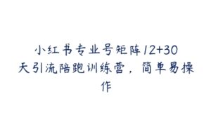 小红书专业号矩阵12+30天引流陪跑训练营，简单易操作-51自学联盟