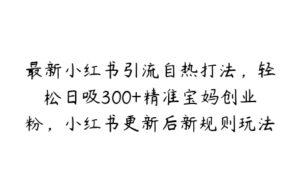 最新小红书引流自热打法，轻松日吸300+精准宝妈创业粉，小红书更新后新规则玩法【项目拆解】-51自学联盟