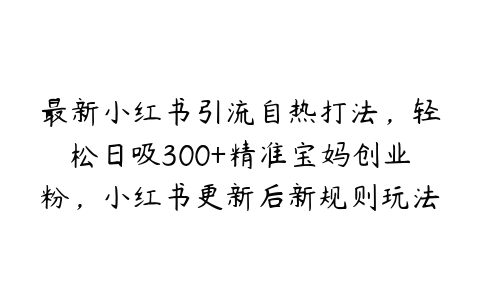 图片[1]-最新小红书引流自热打法，轻松日吸300+精准宝妈创业粉，小红书更新后新规则玩法【项目拆解】-本文