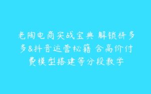 老陶电商实战宝典 解锁拼多多&抖音运营秘籍 含高价付费模型搭建等分段教学-51自学联盟