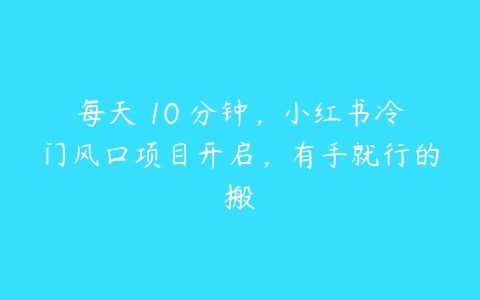 每天 10 分钟，小红书冷门风口项目开启，有手就行的搬百度网盘下载