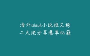 海外tiktok小说推文榜二大佬分享爆单秘籍-51自学联盟