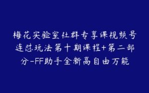 梅花实验室社群专享课视频号连怼玩法第十期课程+第二部分-FF助手全新高自由万能爆闪AB处理-51自学联盟