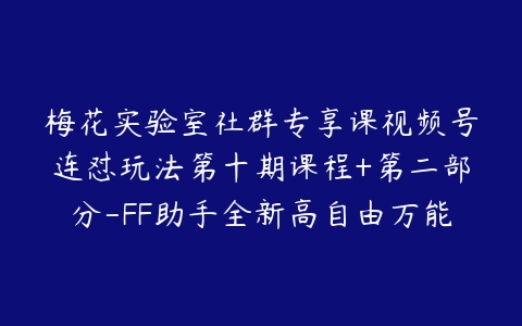 梅花实验室社群专享课视频号连怼玩法第十期课程+第二部分-FF助手全新高自由万能爆闪AB处理百度网盘下载