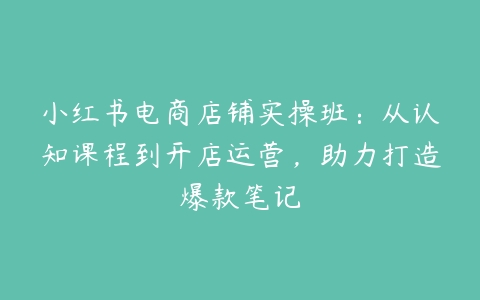 小红书电商店铺实操班：从认知课程到开店运营，助力打造爆款笔记百度网盘下载