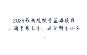 2024最新视频号蓝海项目，简单易上手，适合新手小白，-51自学联盟