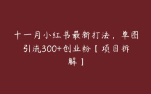 十一月小红书最新打法，单图引流300+创业粉【项目拆解】-51自学联盟