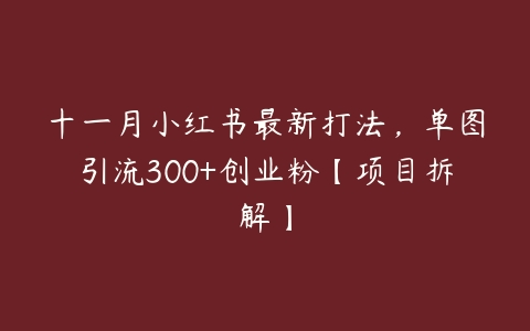 十一月小红书最新打法，单图引流300+创业粉【项目拆解】百度网盘下载