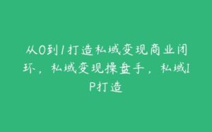 从0到1打造私域变现商业闭环，私域变现操盘手，私域IP打造-51自学联盟