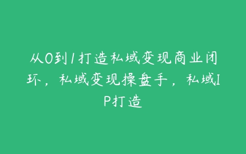 从0到1打造私域变现商业闭环，私域变现操盘手，私域IP打造百度网盘下载