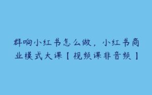 群响小红书怎么做，小红书商业模式大课【视频课非音频】-51自学联盟