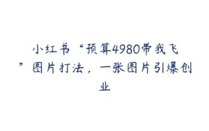 小红书“预算4980带我飞”图片打法，一张图片引爆创业-51自学联盟