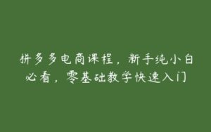 拼多多电商课程，新手纯小白必看，零基础教学快速入门-51自学联盟