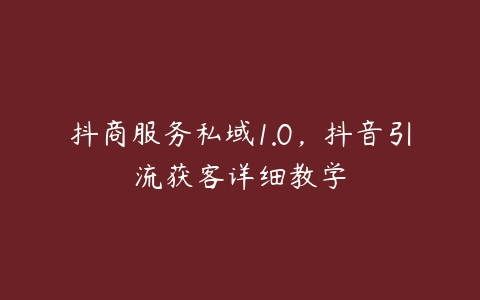 抖商服务私域1.0，抖音引流获客详细教学百度网盘下载