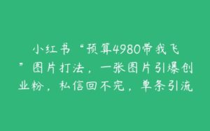 小红书“预算4980带我飞”图片打法，一张图片引爆创业粉，私信回不完，单条引流300+精准创业粉【项目拆解】-51自学联盟