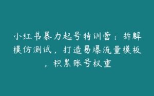 小红书暴力起号特训营：拆解模仿测试，打造易爆流量模板，积累账号权重-51自学联盟