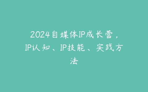 2024自媒体IP成长营，IP认知、IP技能、实践方法百度网盘下载