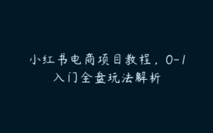 小红书电商项目教程，0-1入门全盘玩法解析-51自学联盟