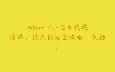 Allen-TK小店系统运营课：投流技法全攻略，包括广百度网盘下载