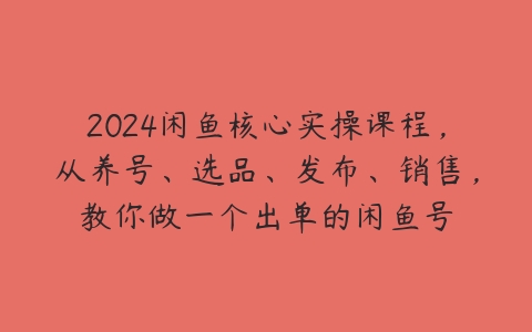 2024闲鱼核心实操课程，从养号、选品、发布、销售，教你做一个出单的闲鱼号百度网盘下载