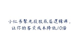 小红书聚光投放底层逻辑课，让你的客资成本降低10倍-51自学联盟