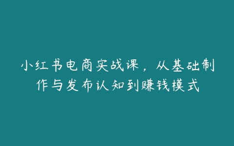 图片[1]-小红书电商实战课，从基础制作与发布认知到赚钱模式-本文