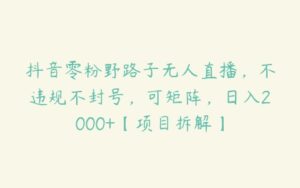 抖音零粉野路子无人直播，不违规不封号，可矩阵，日入2000+【项目拆解】-51自学联盟