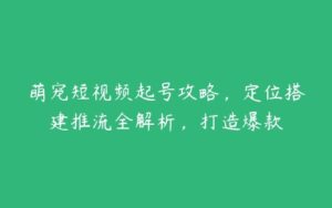 萌宠短视频起号攻略，定位搭建推流全解析，打造爆款-51自学联盟