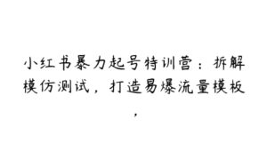 小红书暴力起号特训营：拆解模仿测试，打造易爆流量模板，-51自学联盟