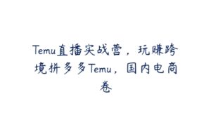 Temu直播实战营，玩赚跨境拼多多Temu，国内电商卷-51自学联盟