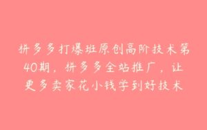 拼多多打爆班原创高阶技术第40期，拼多多全站推广，让更多卖家花小钱学到好技术-51自学联盟