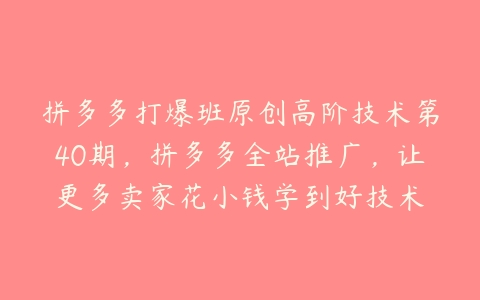 拼多多打爆班原创高阶技术第40期，拼多多全站推广，让更多卖家花小钱学到好技术百度网盘下载