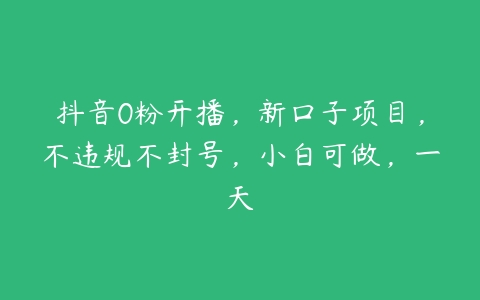 抖音0粉开播，新口子项目，不违规不封号，小白可做，一天百度网盘下载