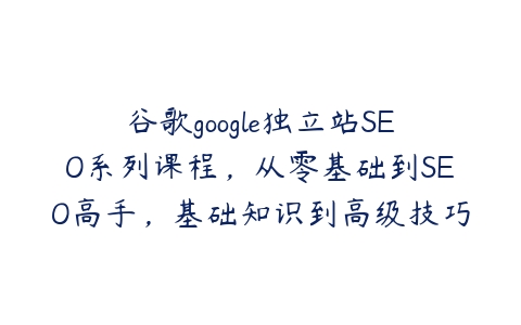 谷歌google独立站SEO系列课程，从零基础到SEO高手，基础知识到高级技巧的覆盖百度网盘下载