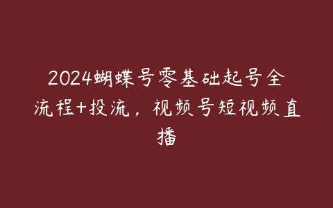 2024蝴蝶号零基础起号全流程+投流，视频号短视频直播百度网盘下载