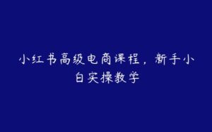 小红书高级电商课程，新手小白实操教学-51自学联盟