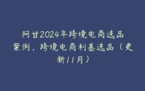 阿甘2024年跨境电商选品案例，跨境电商利基选品（更新11月）-51自学联盟