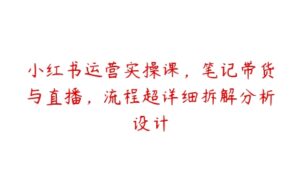 小红书运营实操课，笔记带货与直播，流程超详细拆解分析设计-51自学联盟