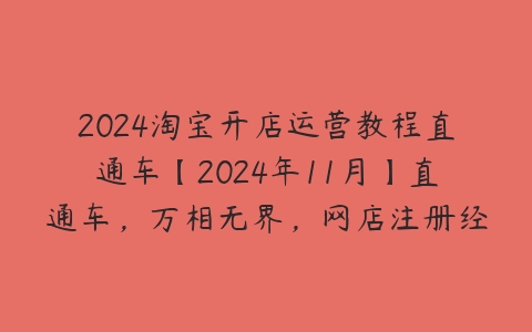 2024淘宝开店运营教程直通车【2024年11月】直通车，万相无界，网店注册经营推广培训百度网盘下载