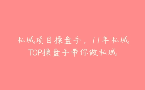 私域项目操盘手，11年私域TOP操盘手带你做私域百度网盘下载