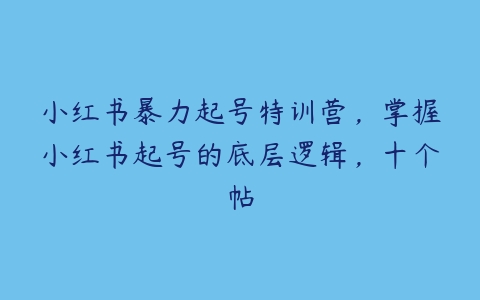 小红书暴力起号特训营，掌握小红书起号的底层逻辑，十个帖-51自学联盟