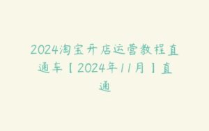 2024淘宝开店运营教程直通车【2024年11月】直通-51自学联盟