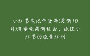 小红书笔记带货课(更新10月)流量电商新机会，抓住小红书的流量红利-51自学联盟