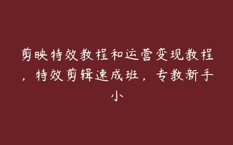 剪映特效教程和运营变现教程，特效剪辑速成班，专教新手小百度网盘下载